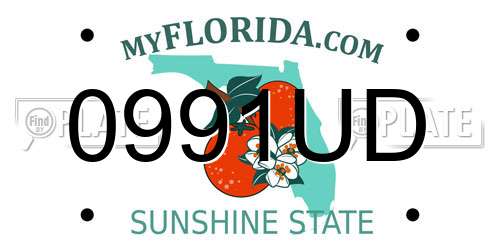 0991UD Florida License Plate