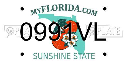 0991VL Florida License Plate