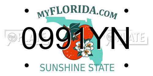 0991YN Florida License Plate