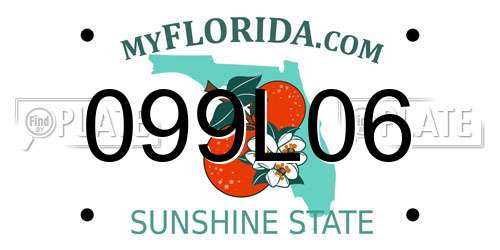 099L06 Florida License Plate