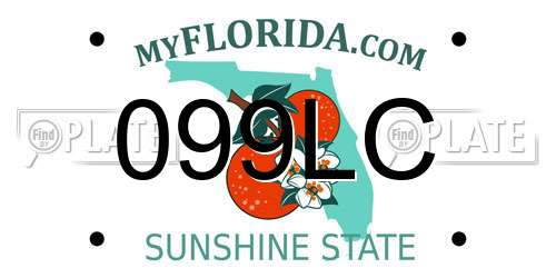 099LC Florida License Plate