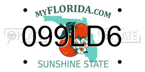 099LD6 Florida License Plate