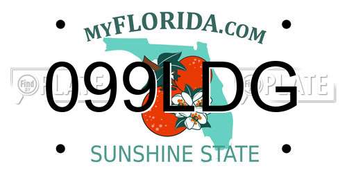 099LDG Florida License Plate