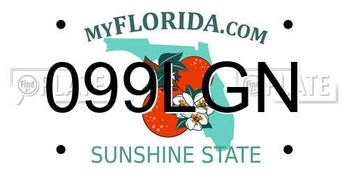 099LGN Florida License Plate