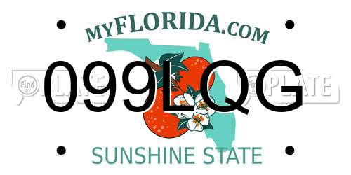 099LQG Florida License Plate