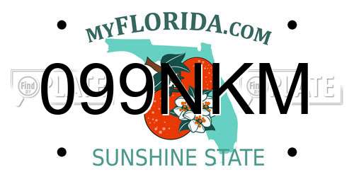099NKM Florida License Plate