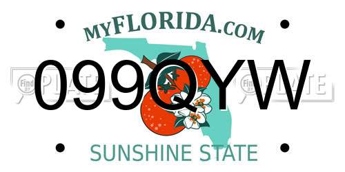 099QYW Florida License Plate