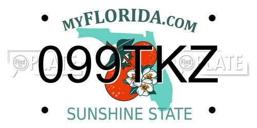 099TKZ Florida License Plate