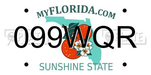 099WQR Florida License Plate