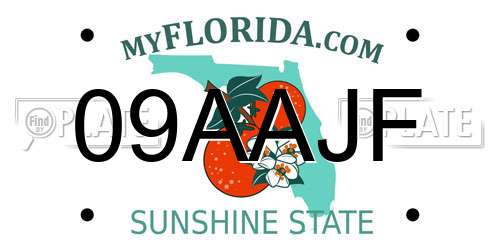 09AAJF Florida License Plate