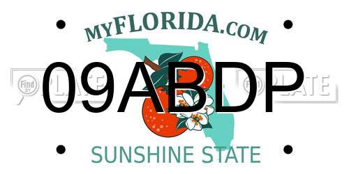 09ABDP Florida License Plate