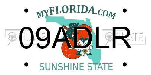 09ADLR Florida License Plate