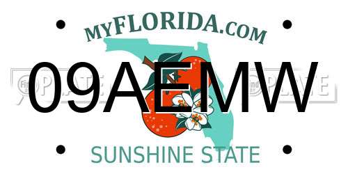 09AEMW Florida License Plate