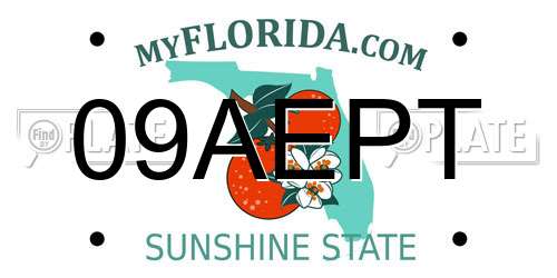 09AEPT Florida License Plate
