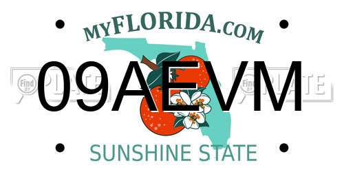 09AEVM Florida License Plate