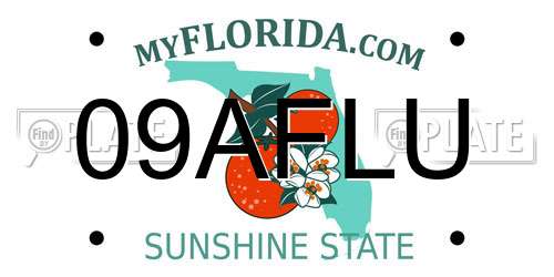 09AFLU Florida License Plate