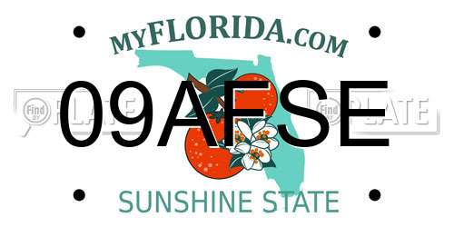 09AFSE Florida License Plate