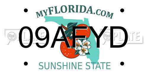 09AFYD Florida License Plate