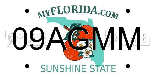 09AGMM Florida License Plate