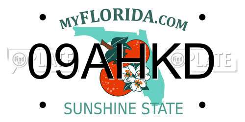 09AHKD Florida License Plate