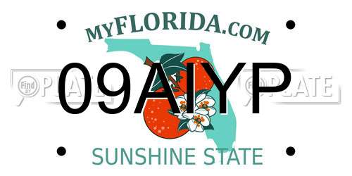 09AIYP Florida License Plate