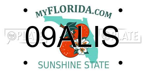 09ALIS Florida License Plate