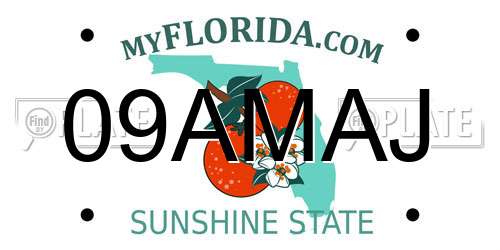 09AMAJ Florida License Plate
