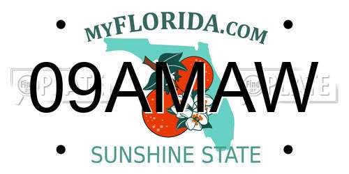 09AMAW Florida License Plate