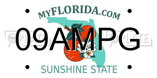 09AMPG Florida License Plate