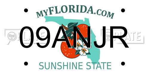 09ANJR Florida License Plate
