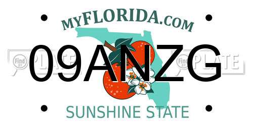 09ANZG Florida License Plate
