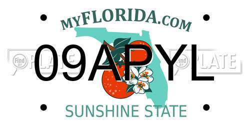 09APYL Florida License Plate