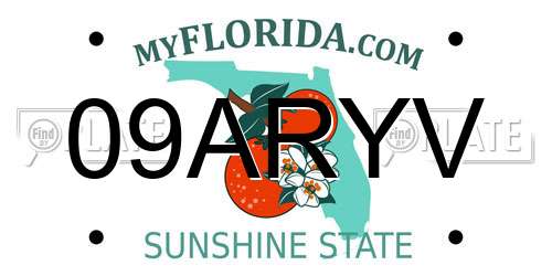 09ARYV Florida License Plate