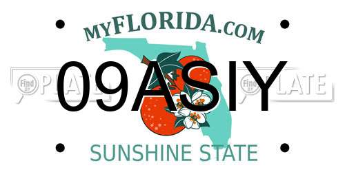 09ASIY Florida License Plate