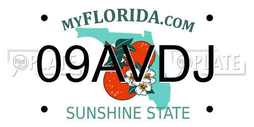 09AVDJ Florida License Plate
