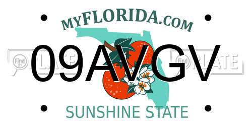 09AVGV Florida License Plate
