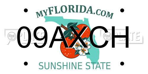 09AXCH Florida License Plate