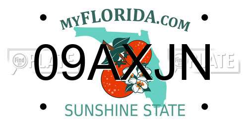 09AXJN Florida License Plate