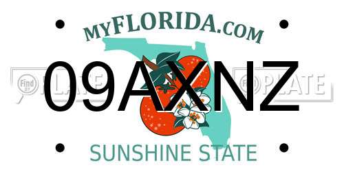 09AXNZ Florida License Plate