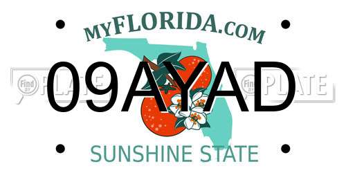 09AYAD Florida License Plate