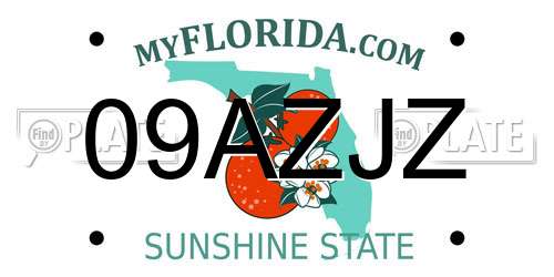 09AZJZ Florida License Plate