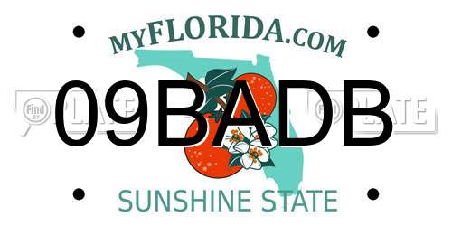 09BADB Florida License Plate