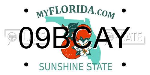 09BCAY Florida License Plate