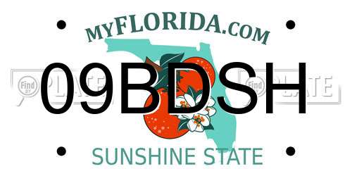 09BDSH Florida License Plate