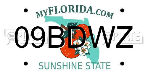 09BDWZ Florida License Plate
