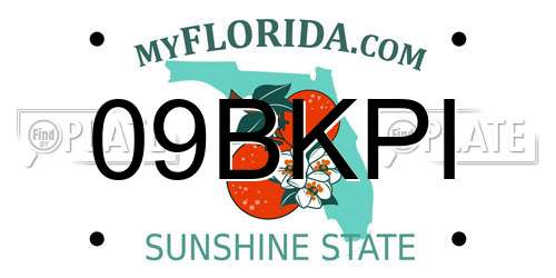 09BKPI Florida License Plate