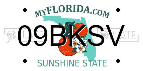 09BKSV Florida License Plate