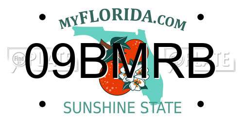 09BMRB Florida License Plate
