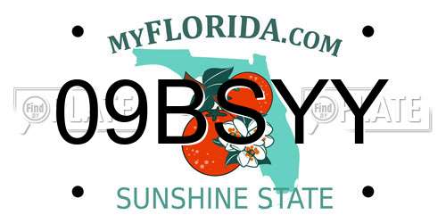 09BSYY Florida License Plate