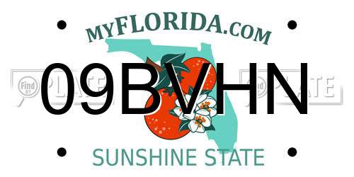 09BVHN Florida License Plate
